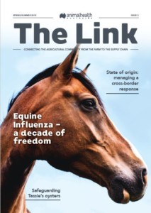 The Link front cover
