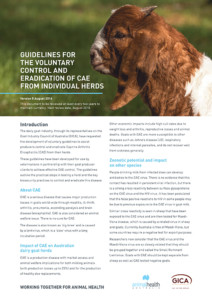 aha_cae-voluntary-guidelines-document_web