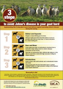 Goat Vaccination Schedule Chart