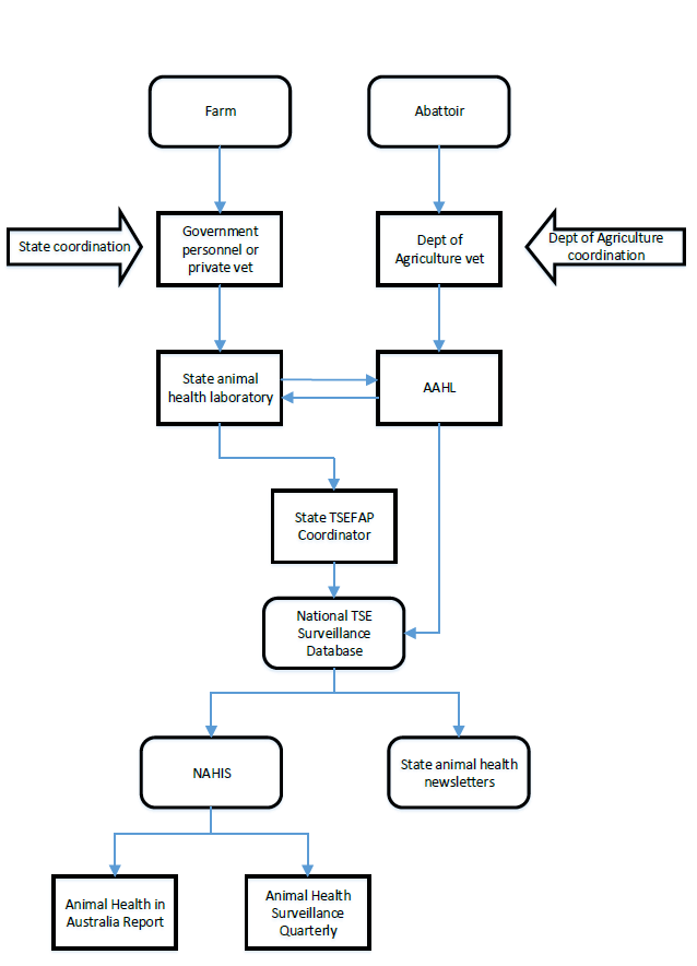 A flow diagram that shows how specimens are collected from farms and abattoirs by private and government veterinarians, analysed at animal health laboratories, stored in a central database, reviewed by TSEFAP stakeholders, and reported in AHA communications