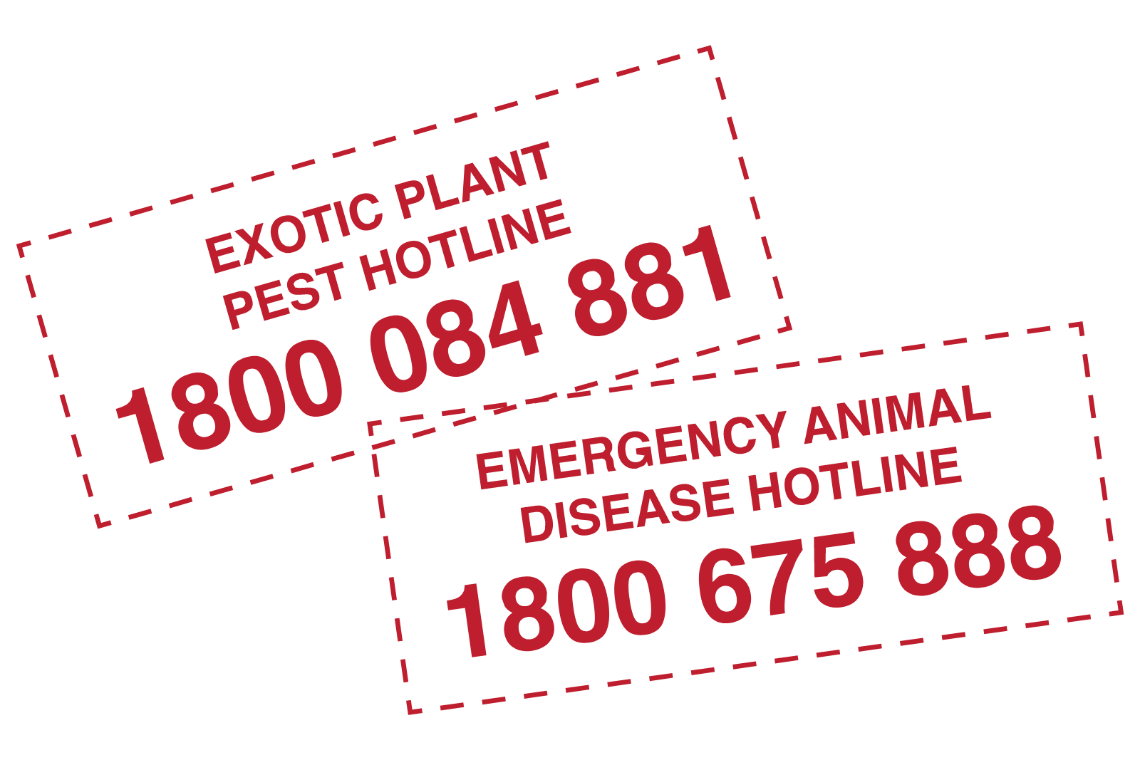 The Emergency Animal Disease Hotline how does it work? Animal Health Australia