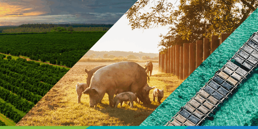 New National Biosecurity Training Hub launched Animal Health Australia