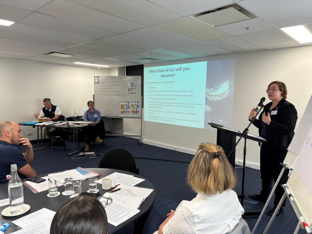 LLI training workshop, June 2025.