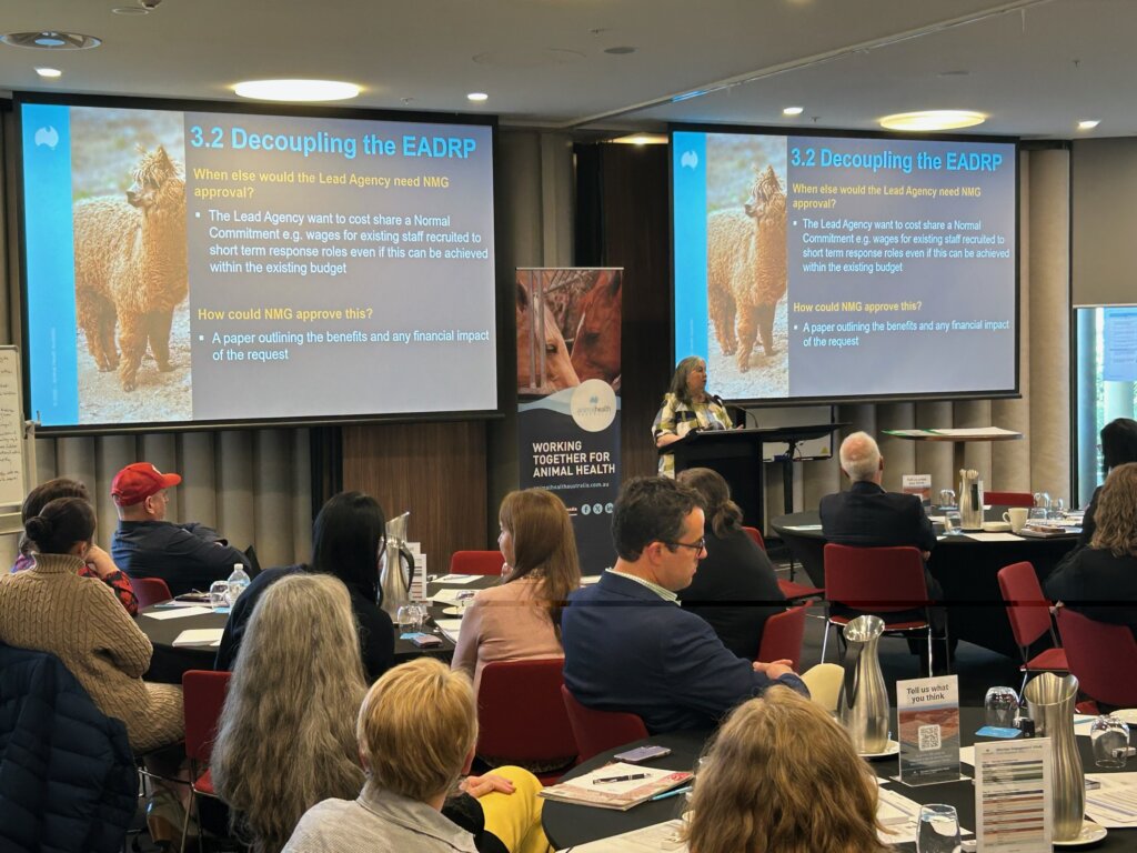 EADRA Workshop, September 2025