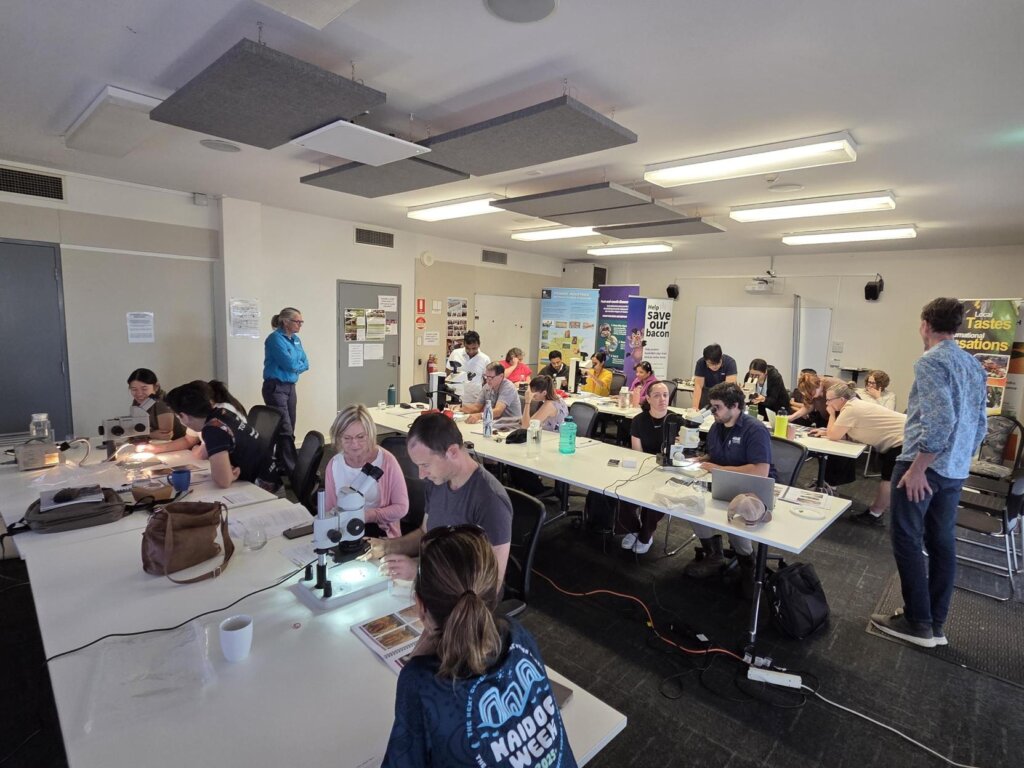 Participants of the SWF 2025 Entomology Workshop performing larval identification.