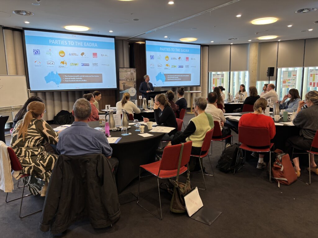 CCEAD Workshop, September 2025