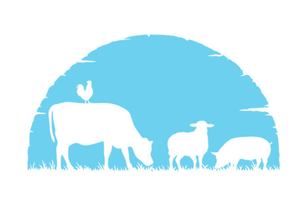 LLI training in WA logo