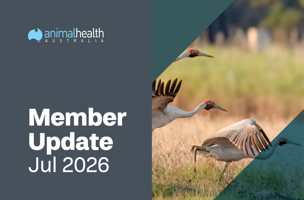 Member Update July 2026